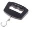 50kg/10g Mini Hanging Luggage Weighing Digital Scale supplier